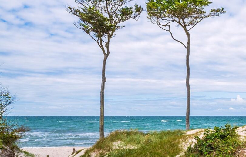 Soul-Food-Yoga & Ostsee